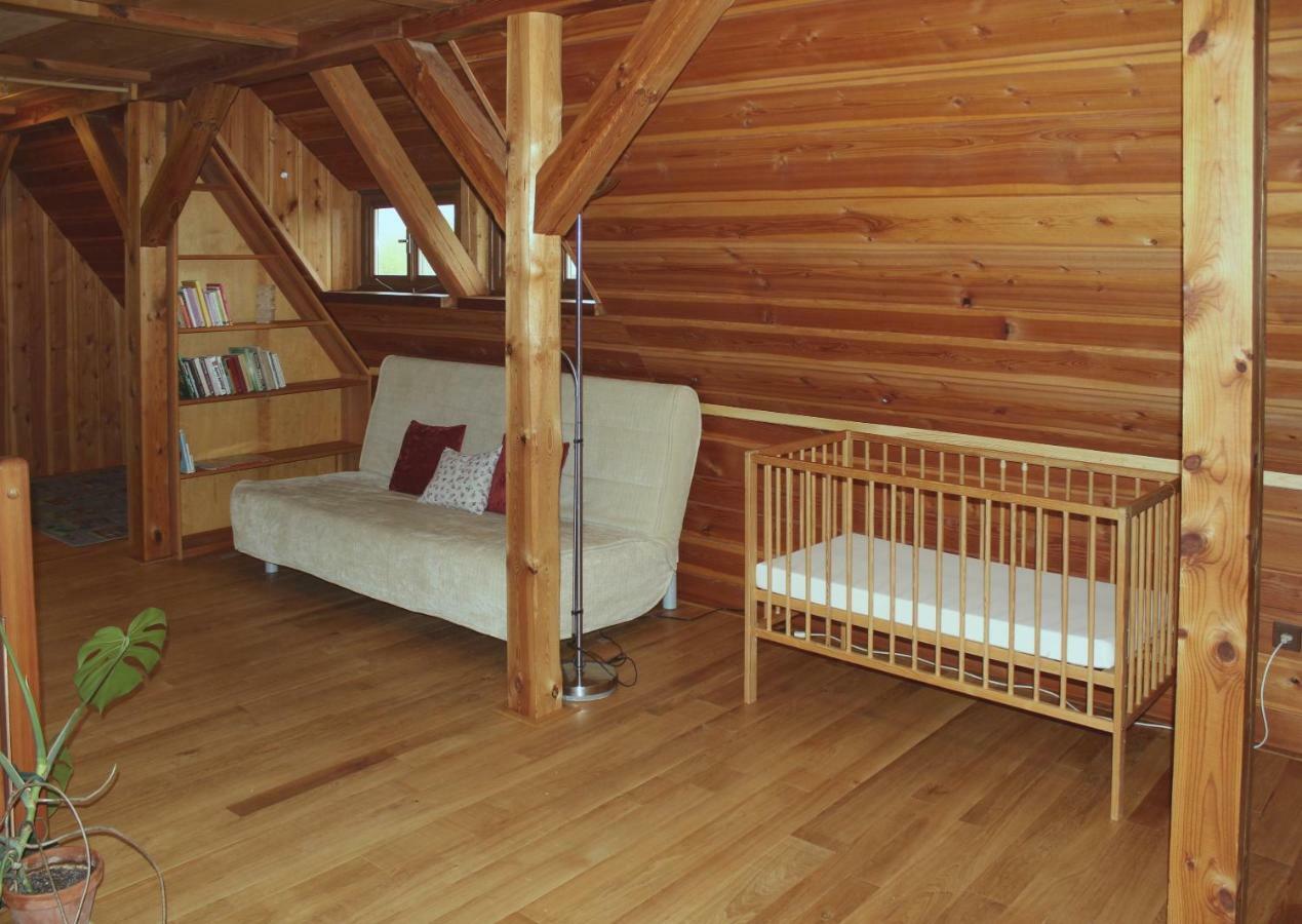 Apartman Ve Skanzenu Trebechovice pod Orebem Exterior photo